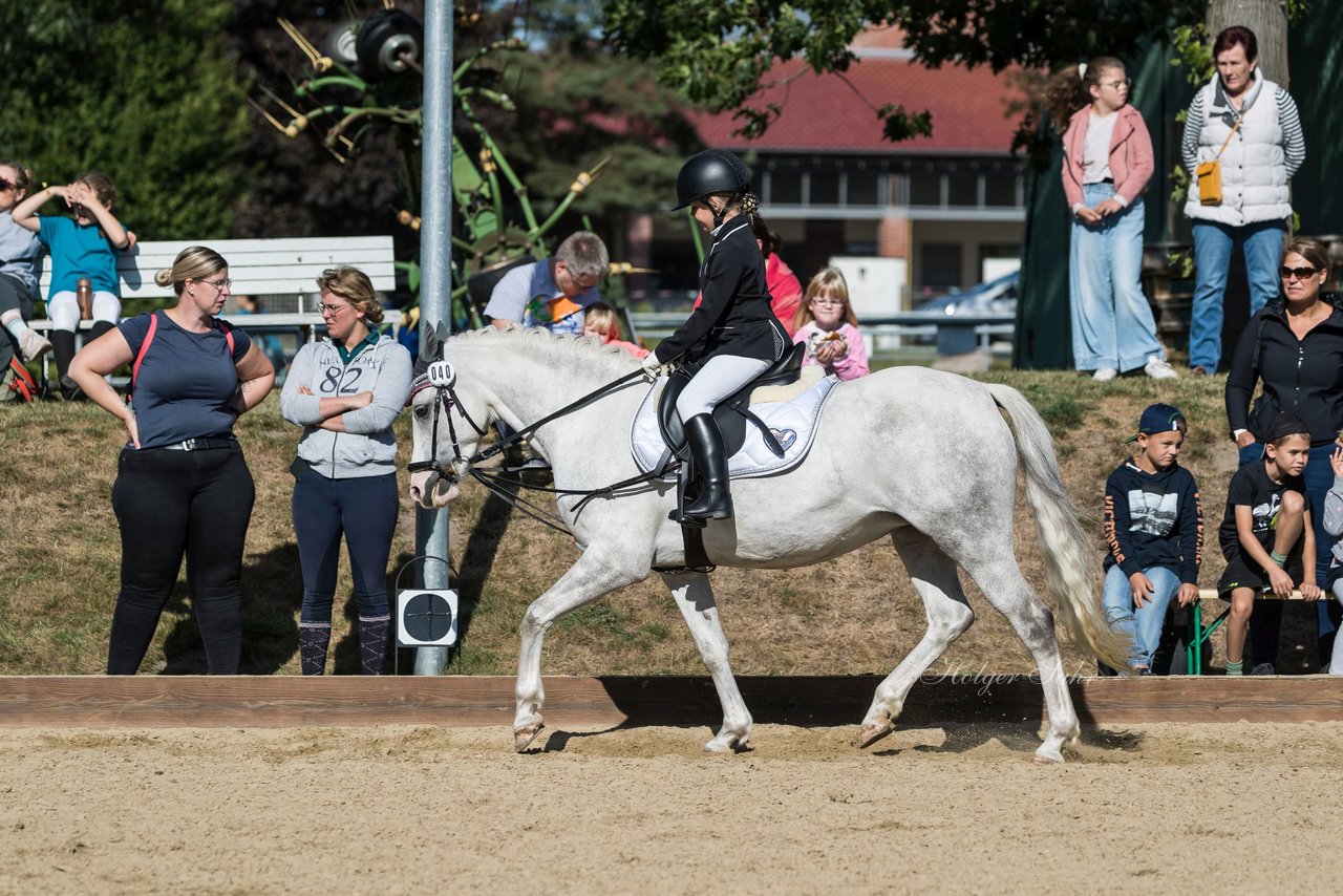 Bild 21 - Pony Akademie Turnier